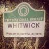 Whitwickfox